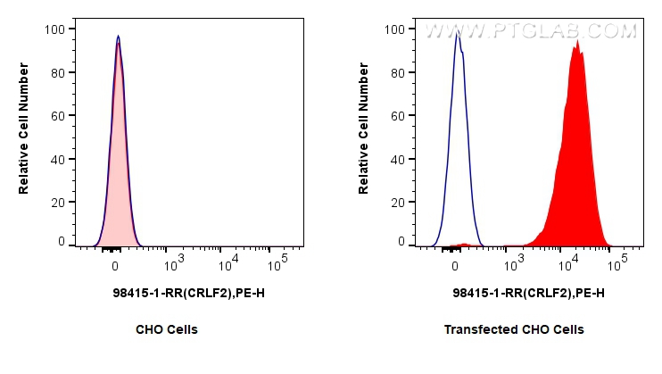 FC experiment of Transfected CHO using 98415-1-RR
