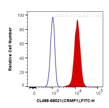 FC experiment of U2OS using CL488-68021