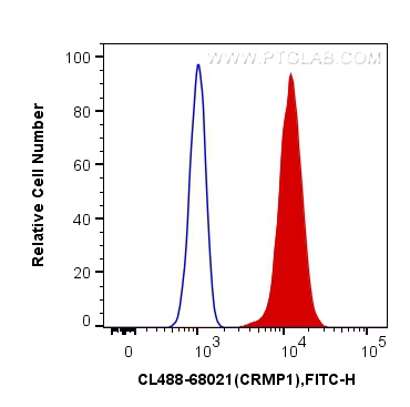 CRMP1