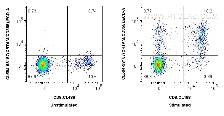 1x10^6 untreated or PMA and ionomycin treated human PBMCs were surface stained with CoraLite® Plus 488 Anti-Human CD8 and 5 ul CoraLite®594 Anti-Human CRTAM/CD355 Rabbit RecAb (CL594-98157, Clone: 241280B12). Cells were not fixed. FC experiment of human PBMCs using CL594-98157