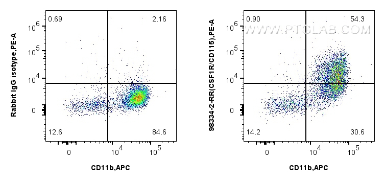 1x10^6 mouse peritoneal macrophages were surface stained with 0.25 ug Anti-Mouse CSF1R/CD115 Rabbit RecAb (98334-2-RR, Clone: 242213B1) or 0.25 ug Rabbit IgG Isotype Control RecAb (<a class='green' href='/productredirect?CatalogNo=98136-1-RR' target='_blank'>98136-1-RR</a>, Clone: 240953C9), and PE-Conjugated Goat Anti-Rabbit IgG(H+L). Cells were co-stained with APC Anti-Mouse CD11b (M1/70) (<a class='green' href='/productredirect?CatalogNo=APC-65055' target='_blank'>APC-65055</a>, Clone: M1/70). Cells were not fixed. FC experiment of mouse peritoneal macrophages using 98334-2-RR