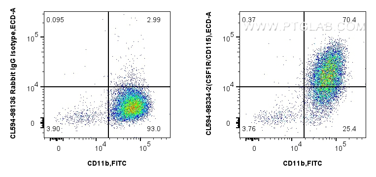 1x10^6 mouse peritoneal macrophages were surface stained with FITC Plus Anti-Mouse CD11b, and 0.25 ug CoraLite®594 Anti-Mouse CSF1R/CD115 Rabbit RecAb (CL594-98334-2, Clone: 242213B1) or CoraLite®594 Rabbit IgG Isotype Control RecAb (<a class='green' href='/productredirect?CatalogNo=CL594-98136' target='_blank'>CL594-98136</a>, Clone: 240953C9). Cells were incubated with FC Receptor Block prior to staining. Cells were not fixed. FC experiment of mouse peritoneal macrophages using CL594-98334-2