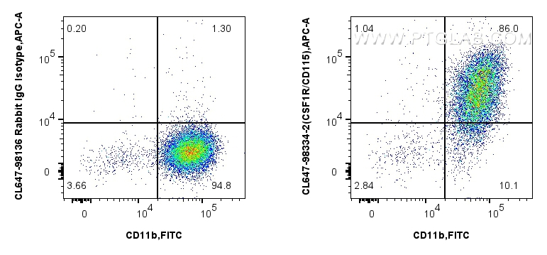 1x10^6 mouse peritoneal macrophages were surface stained with FITC Plus Anti-Mouse CD11b, and 0.25 ug CoraLite® Plus 647 Anti-Mouse CSF1R/CD115 Rabbit RecAb (CL647-98334-2, Clone: 242213B1) or CoraLite® Plus 647 Rabbit IgG Isotype Control RecAb (<a class='green' href='/productredirect?CatalogNo=CL647-98136' target='_blank'>CL647-98136</a>, Clone: 240953C9). Cells were incubated with FC Receptor Block prior to staining. Cells were not fixed. FC experiment of mouse peritoneal macrophages using CL647-98334-2