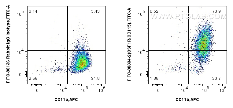 1x10^6 mouse peritoneal macrophages were surface stained with APC Anti-Mouse CD11b, and 0.25 ug FITC Plus Anti-Mouse CSF1R/CD115 Rabbit RecAb (FITC-98334-2, Clone: 242213B1) or FITC Plus Rabbit IgG Isotype Control RecAb (<a class='green' href='/productredirect?CatalogNo=FITC-98136' target='_blank'>FITC-98136</a>, Clone: 240953C9). Cells were incubated with FC Receptor Block prior to staining. Cells were not fixed. FC experiment of mouse peritoneal macrophages using FITC-98334-2