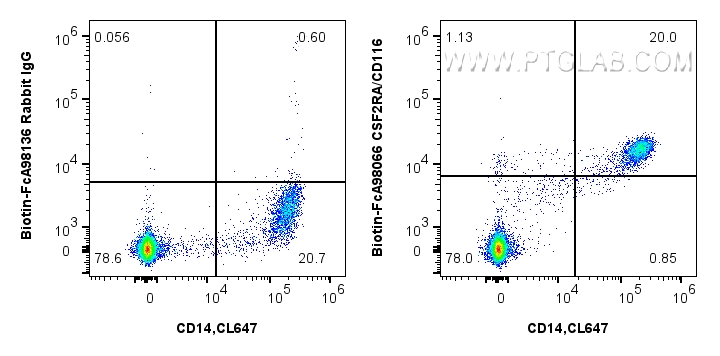 FC experiment of human PBMCs using Biotin-FcA98066 FC experiment of human PBMCs using Biotin-FcA98066