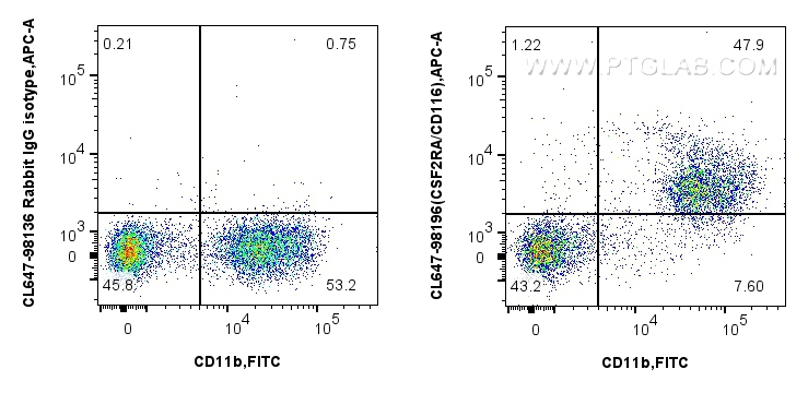 FC experiment of mouse bone marrow cells using CL647-98196