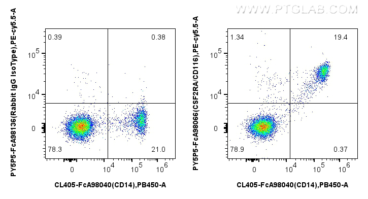 1x10^6 human PBMCs were surface stained with CoraLite® Plus 405 Anti-Human CD14, and 5 ul PE-Cyanine5.5 Anti-Human CSF2RA/CD116 Rabbit RecAb (PY5P5-FcA98066, Clone: 241266B11) or Rabbit IgG Isotype Control RecAb (PY5P5-FcA98136, Clone: 240953C9). Cells were not fixed. FC experiment of human PBMCs using PY5P5-FcA98066
