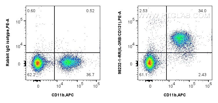FC experiment of mouse bone marrow cells using 98232-1-RR (same clone as 98232-1-PBS)
