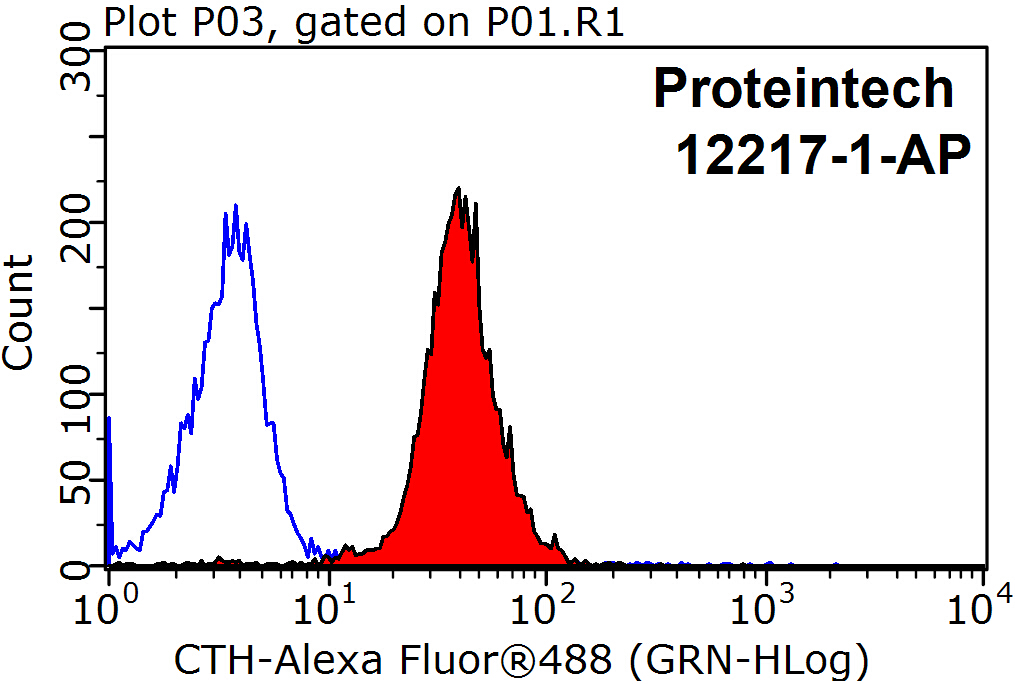 Gamma Cystathionase