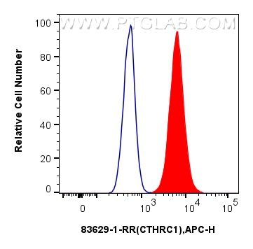 FC experiment of A375 using 83629-1-RR