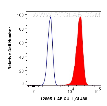 FC experiment of HeLa using 12895-1-AP