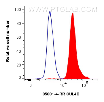 FC experiment of HeLa using 85001-4-RR (same clone as 85001-4-PBS)