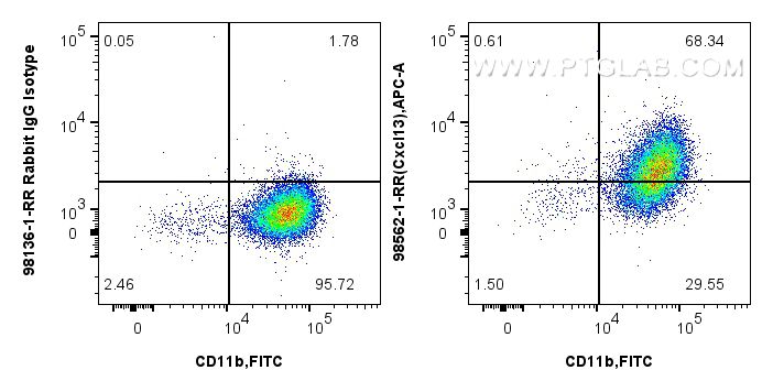 FC experiment of mouse peritoneal macrophages using 98562-1-RR (same clone as 98562-1-PBS)