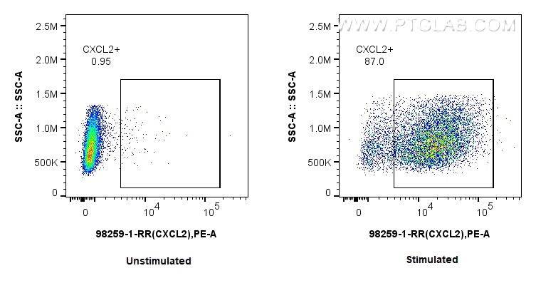 FC experiment of RAW 264.7 using 98259-1-RR