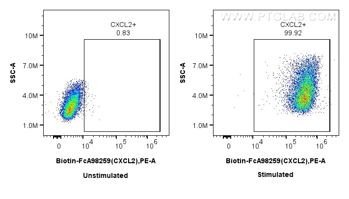 FC experiment of RAW 264.7 using Biotin-FcA98259