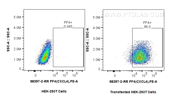 FC experiment of Transfected HEK-293T using 98397-2-RR (same clone as 98397-2-PBS)