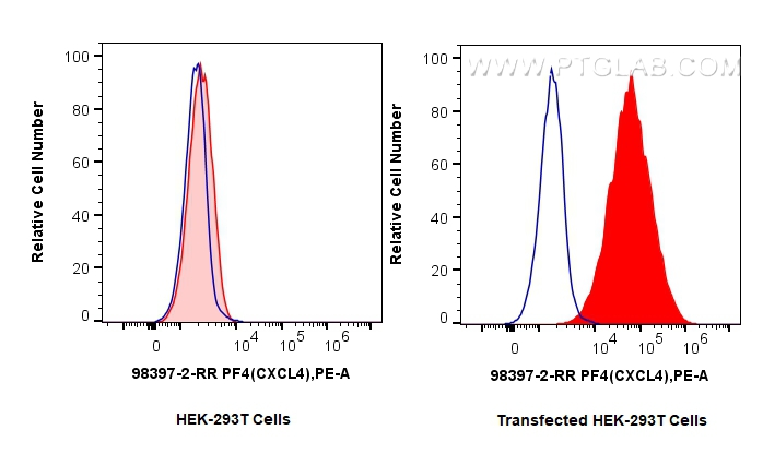 FC experiment of Transfected HEK-293T using 98397-2-RR (same clone as 98397-2-PBS)
