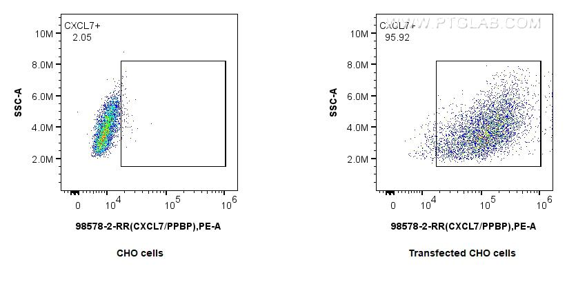 FC experiment of Transfected CHO using 98578-2-RR