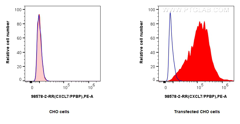 FC experiment of Transfected CHO using 98578-2-RR