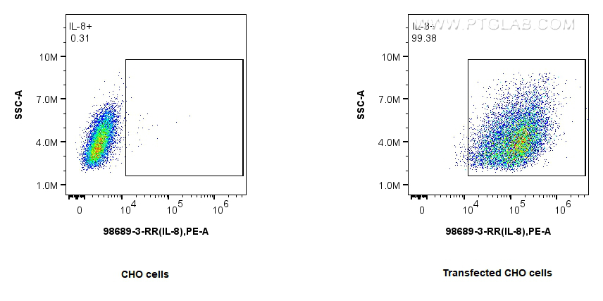 FC experiment of Transfected CHO using 98689-3-RR FC experiment of Transfected CHO using 98689-3-RR