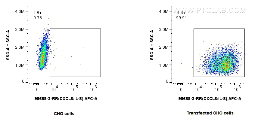 FC experiment of Transfected CHO cells using 98689-3-RR FC experiment of Transfected CHO cells using 98689-3-RR