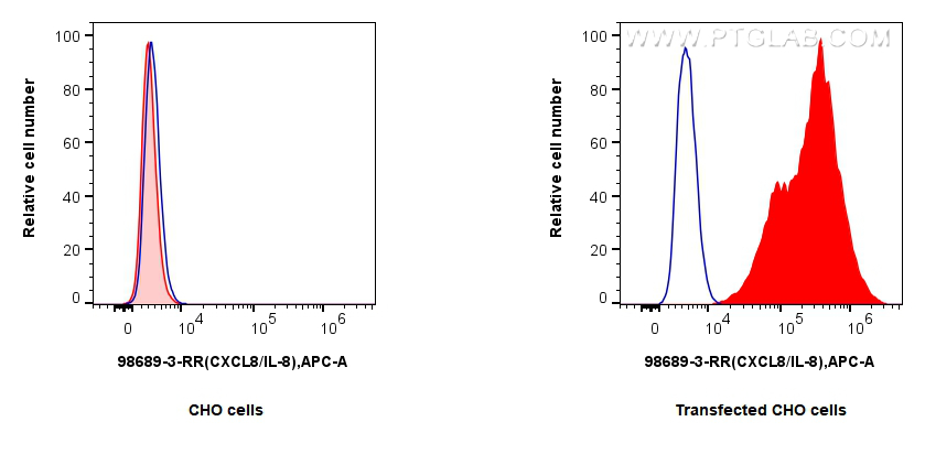 FC experiment of Transfected CHO cells using 98689-3-RR FC experiment of Transfected CHO cells using 98689-3-RR