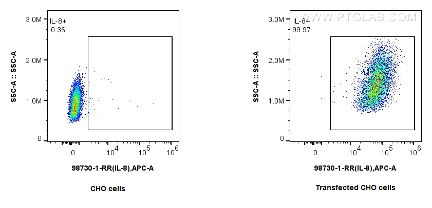 FC experiment of Transfected CHO using 98730-1-RR