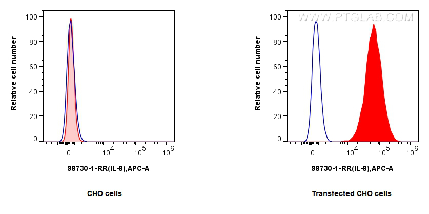 FC experiment of Transfected CHO using 98730-1-RR