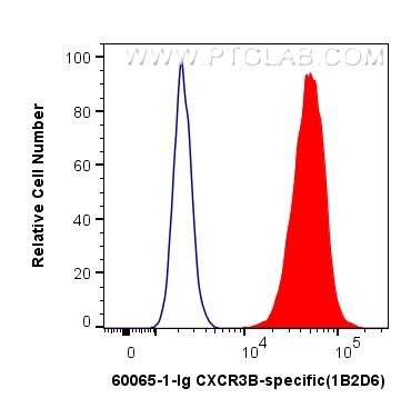 FC experiment of U-937 using 60065-1-Ig (same clone as 60065-1-PBS)