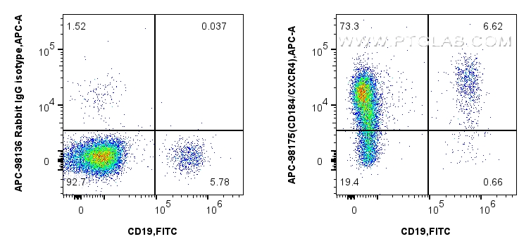 FC experiment of human PBMCs using APC-98175
