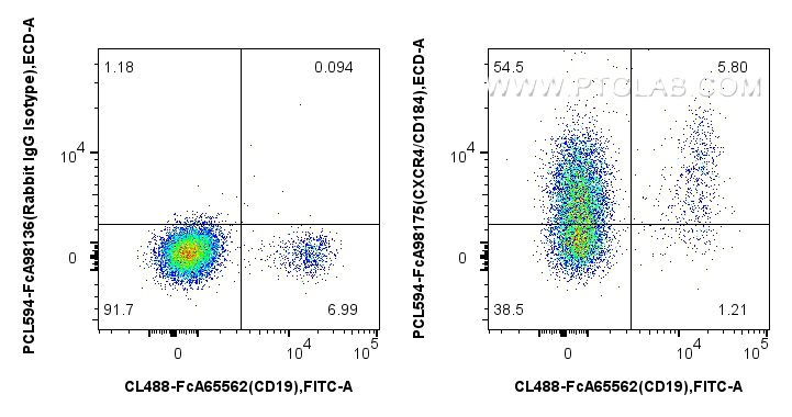 FC experiment of human PBMCs using PCL594-FcA98175 FC experiment of human PBMCs using PCL594-FcA98175