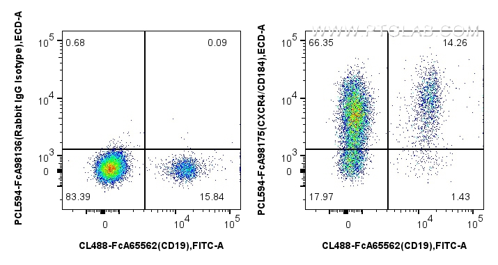 FC experiment of human PBMCs using PCL594-FcA98175