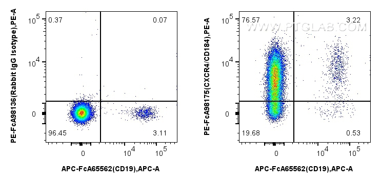 FC experiment of human PBMCs using PE-FcA98175