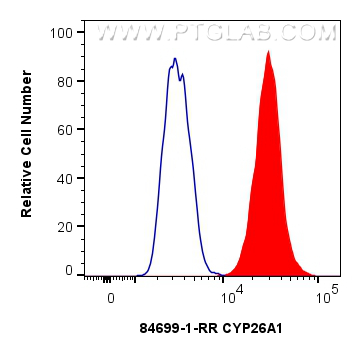 FC experiment of HepG2 using 84699-1-RR (same clone as 84699-1-PBS)