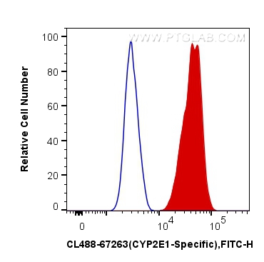 FC experiment of HeLa using CL488-67263
