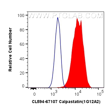 Calpastatin