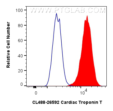 FC experiment of H9C2 using CL488-26592 FC experiment of H9C2 using CL488-26592
