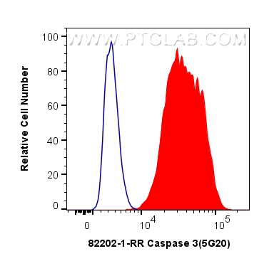 FC experiment of HepG2 using 82202-1-RR (same clone as 82202-1-PBS)
