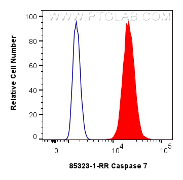 FC experiment of HepG2 using 85323-1-RR (same clone as 85323-1-PBS)
