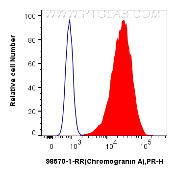 FC experiment of SH-SY5Y using 98570-1-RR (same clone as 98570-1-PBS)