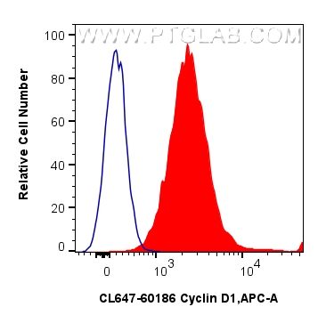1x10^6 SH-SY5Y cells were intracellularly stained with 0.8 ug CoraLite® Plus 647-conjugated Cyclin D1 Monoclonal antibody (CL647-60186, Clone:2G3G5)(red), or 0.8 ug CoraLite® Plus 647 Mouse IgG2b Isotype Control (MPC-11) (<a class='green' href='/productredirect?CatalogNo=CL647-65128' target='_blank'>CL647-65128</a>, Clone: MPC-11) (blue). Cells were fixed and permeabilized with Transcription Factor Staining Buffer Kit (<a class='green' href='/productredirect?CatalogNo=PF00011' target='_blank'>PF00011</a>). FC experiment of SH-SY5Y using CL647-60186