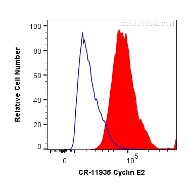 FC experiment of HeLa using CR-11935