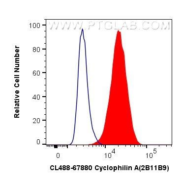 FC experiment of HeLa using CL488-67880