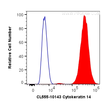 FC experiment of A431 using CL555-10143