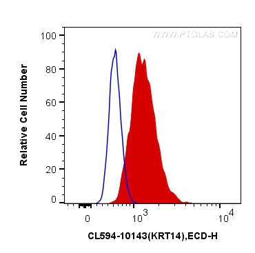 Cytokeratin 14