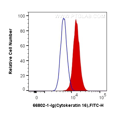 FC experiment of A431 using 66802-1-Ig