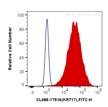 FC experiment of HeLa using CL488-17516