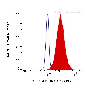 FC experiment of HeLa using CL555-17516