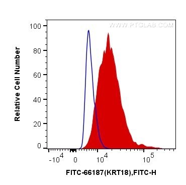 FC experiment of HeLa using FITC-66187