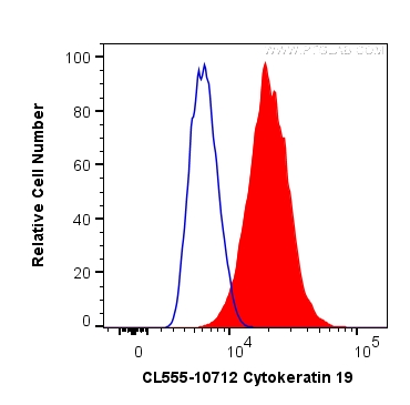 Cytokeratin 19